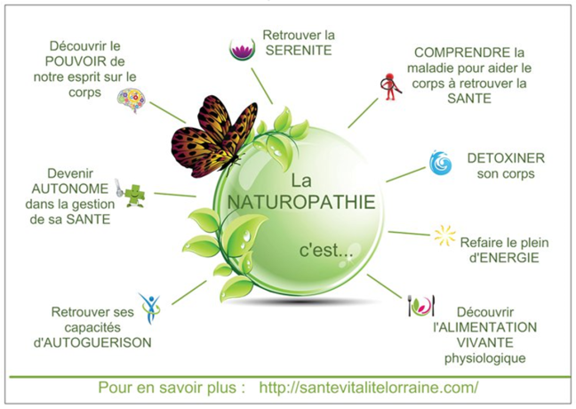 Naturopathie chez CVS Thérapies à Rombly et Blaringhem